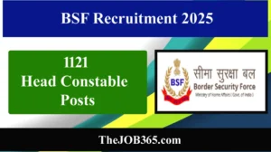 BSF Recruitment
